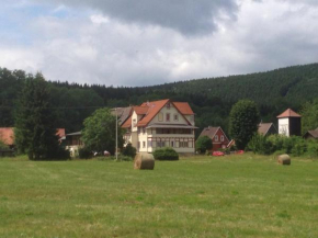 Herrlicher Harz Suites